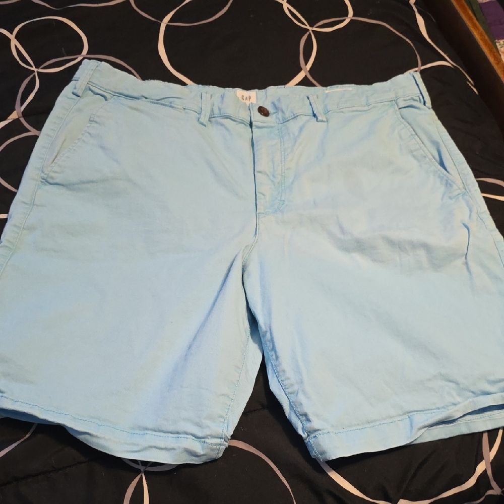 GAP Blue Flat Front Shorts